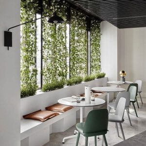 biophilic design 2.0