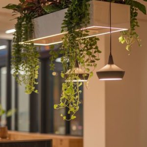 biophilic design 2.0