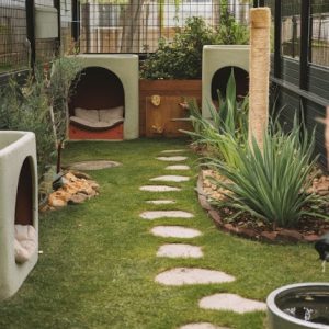 Panduan Membangun Rumah Pet-Friendly