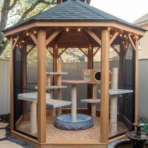 Panduan Membangun Rumah Pet-Friendly